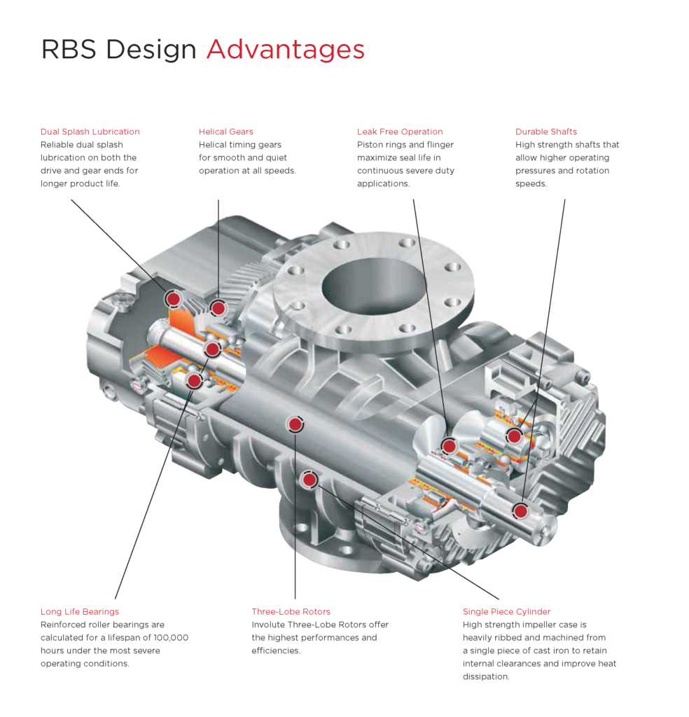 RBS Design Lewis Systems Inc